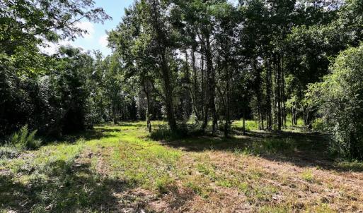 Photo #20 of Off Pike Rd, Pantego, NC 5.8 acres