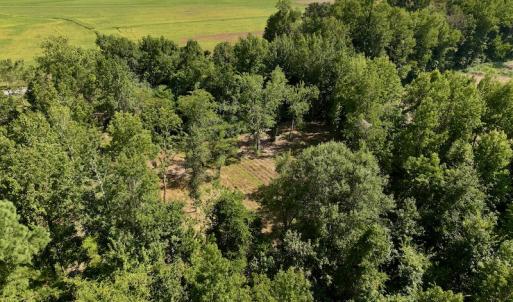 Photo #6 of Off Pike Rd, Pantego, NC 5.8 acres
