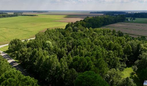 Photo #7 of Off Pike Rd, Pantego, NC 5.8 acres