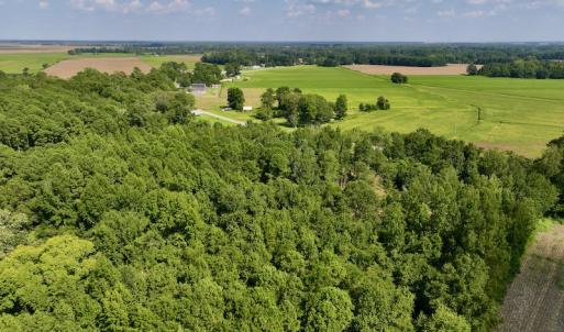 Photo #9 of Off Pike Rd, Pantego, NC 5.8 acres