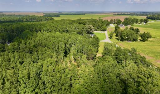 Photo #10 of Off Pike Rd, Pantego, NC 5.8 acres