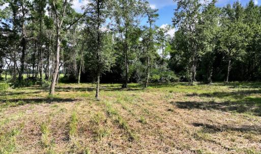 Photo #21 of Off Pike Rd, Pantego, NC 5.8 acres
