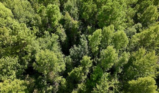 Photo #27 of Off Pike Rd, Pantego, NC 5.8 acres