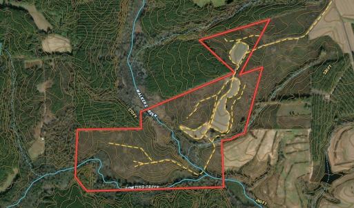 Photo #1 of Off Dennis Harris Rd, Macon, NC 138.1 acres