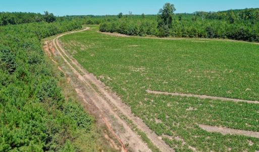 Photo #13 of SOLD property in Off Dennis Harris Rd, Macon, NC 138.1 acres