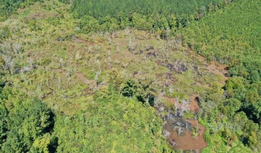 Photo #14 of SOLD property in Off Dennis Harris Rd, Macon, NC 138.1 acres