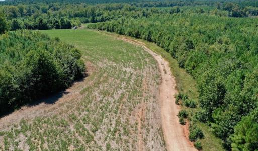 Photo #19 of SOLD property in Off Dennis Harris Rd, Macon, NC 138.1 acres