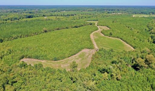 Photo #4 of SOLD property in Off Dennis Harris Rd, Macon, NC 138.1 acres