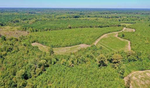 Photo #6 of SOLD property in Off Dennis Harris Rd, Macon, NC 138.1 acres