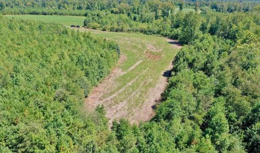 Photo #8 of SOLD property in Off Dennis Harris Rd, Macon, NC 138.1 acres