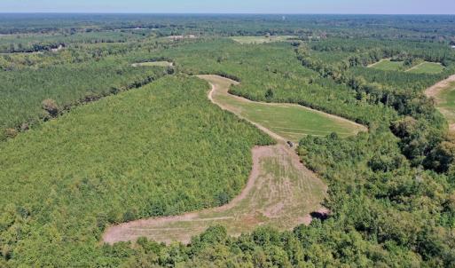 Photo #9 of SOLD property in Off Dennis Harris Rd, Macon, NC 138.1 acres
