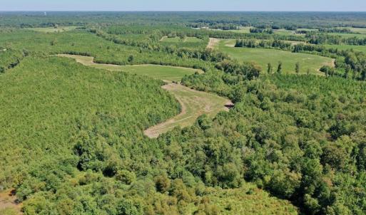 Photo #10 of SOLD property in Off Dennis Harris Rd, Macon, NC 138.1 acres