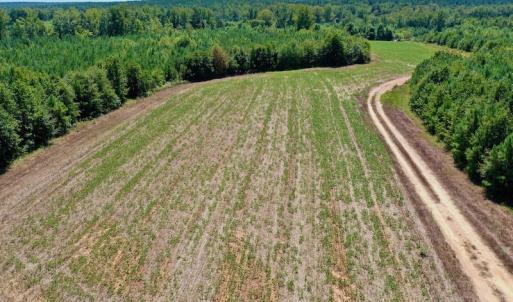 Photo #21 of SOLD property in Off Dennis Harris Rd, Macon, NC 138.1 acres