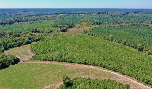 Photo #28 of SOLD property in Off Dennis Harris Rd, Macon, NC 138.1 acres
