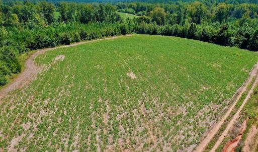 Photo #31 of SOLD property in Off Dennis Harris Rd, Macon, NC 138.1 acres