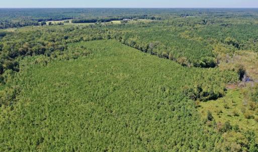 Photo #49 of SOLD property in Off Dennis Harris Rd, Macon, NC 138.1 acres
