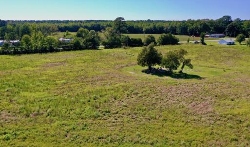 Photo #12 of Off Hwy 305, Rich Square, NC 30.1 acres