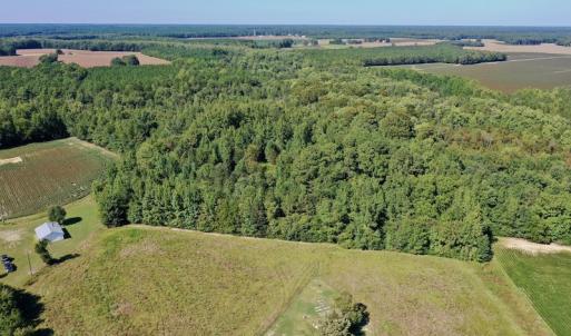 Photo #14 of Off Hwy 305, Rich Square, NC 30.1 acres