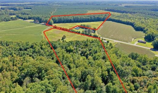 Photo #15 of Off Hwy 305, Rich Square, NC 30.1 acres