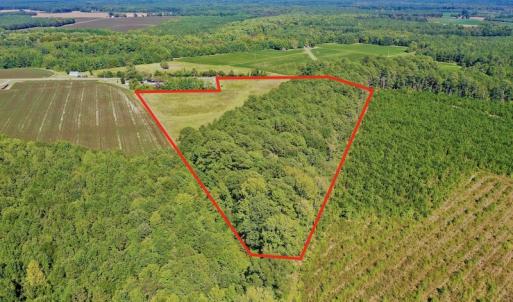 Photo #16 of Off Hwy 305, Rich Square, NC 30.1 acres