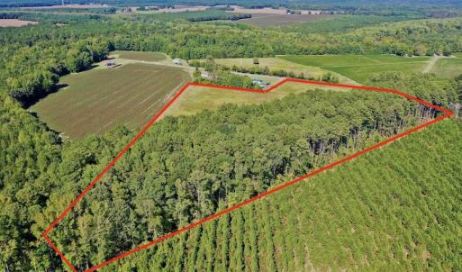 Photo #17 of Off Hwy 305, Rich Square, NC 30.1 acres