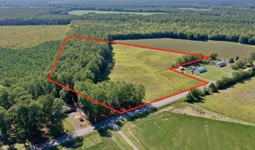 Photo #18 of Off Hwy 305, Rich Square, NC 30.1 acres