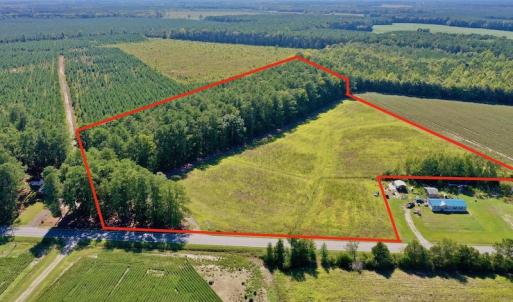 Photo #19 of Off Hwy 305, Rich Square, NC 30.1 acres