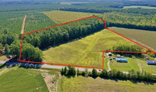 Photo #20 of Off Hwy 305, Rich Square, NC 30.1 acres