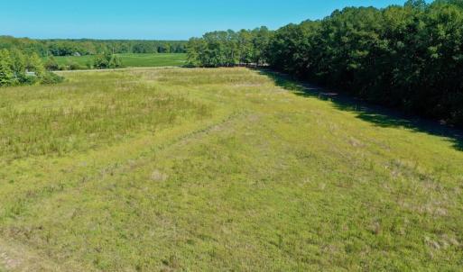 Photo #24 of Off Hwy 305, Rich Square, NC 30.1 acres