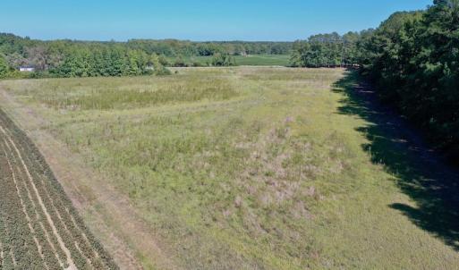 Photo #25 of Off Hwy 305, Rich Square, NC 30.1 acres