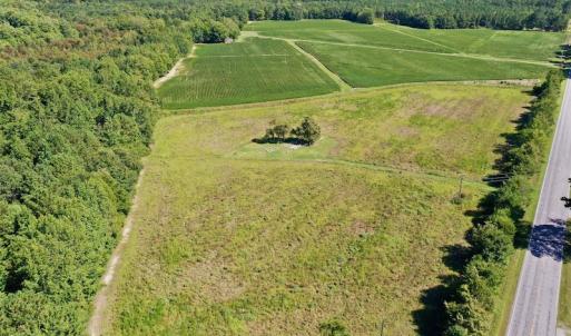 Photo #7 of Off Hwy 305, Rich Square, NC 30.1 acres