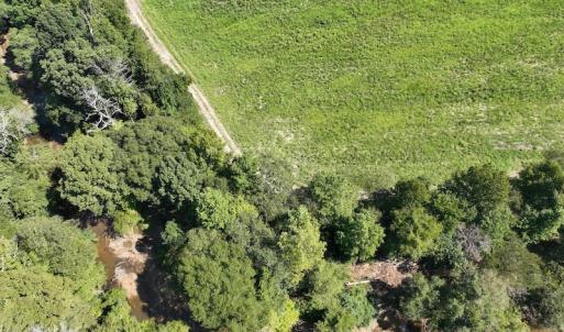 Photo #21 of Off Barber Mill Road, Clayton, NC 152.8 acres