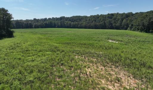 Photo #28 of Off Barber Mill Road, Clayton, NC 152.8 acres