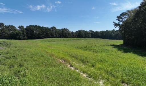 Photo #29 of Off Barber Mill Road, Clayton, NC 152.8 acres