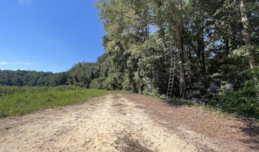 Photo #34 of Off Barber Mill Road, Clayton, NC 152.8 acres