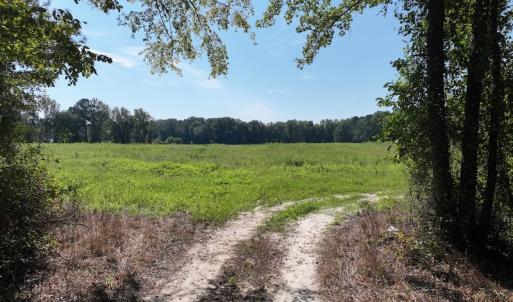 Photo #35 of Off Barber Mill Road, Clayton, NC 152.8 acres