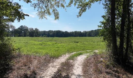 Photo #34 of Off Barber Mill Road, Clayton, NC 152.8 acres