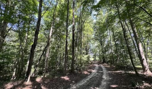 Photo #36 of Off Barber Mill Road, Clayton, NC 152.8 acres