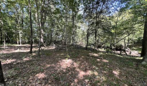 Photo #44 of Off Barber Mill Road, Clayton, NC 152.8 acres