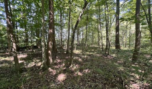 Photo #46 of Off Barber Mill Road, Clayton, NC 152.8 acres