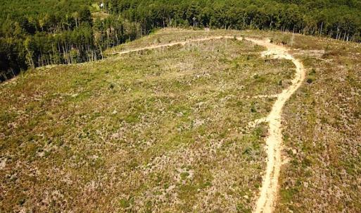Photo #2 of SOLD property in Off Renrut Rd , Lunenburg, VA 87.0 acres
