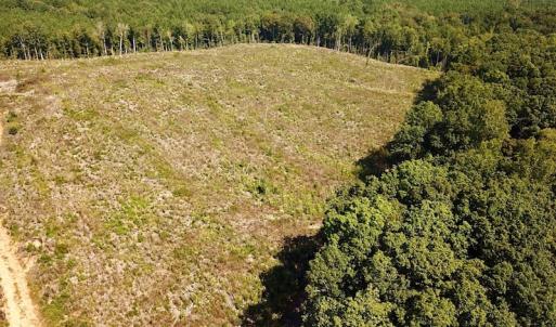 Photo #3 of SOLD property in Off Renrut Rd , Lunenburg, VA 87.0 acres
