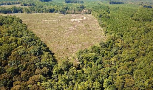 Photo #4 of SOLD property in Off Renrut Rd , Lunenburg, VA 87.0 acres