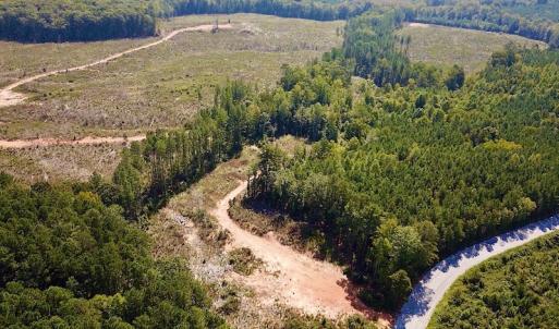 Photo #5 of SOLD property in Off Renrut Rd , Lunenburg, VA 87.0 acres