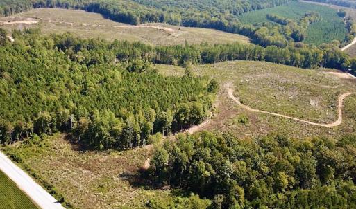 Photo #6 of SOLD property in Off Renrut Rd , Lunenburg, VA 87.0 acres