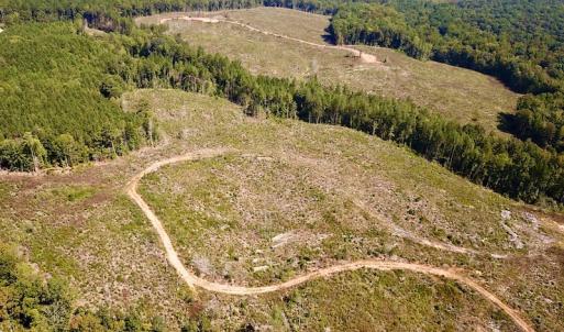 Photo #7 of SOLD property in Off Renrut Rd , Lunenburg, VA 87.0 acres