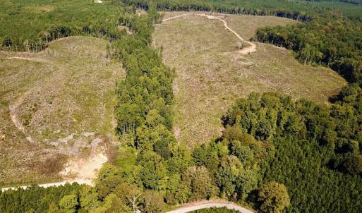 Photo #8 of SOLD property in Off Renrut Rd , Lunenburg, VA 87.0 acres