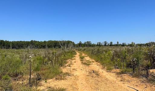 Photo #9 of SOLD property in Off Renrut Rd , Lunenburg, VA 87.0 acres