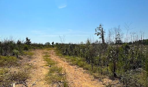 Photo #10 of SOLD property in Off Renrut Rd , Lunenburg, VA 87.0 acres