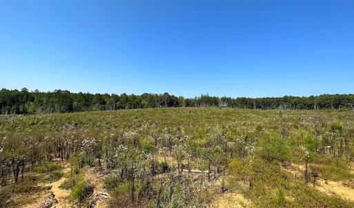 Photo #11 of SOLD property in Off Renrut Rd , Lunenburg, VA 87.0 acres